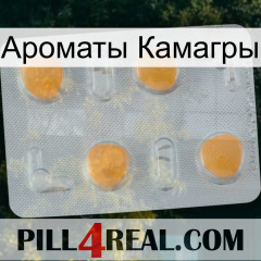 Ароматы Камагры 24